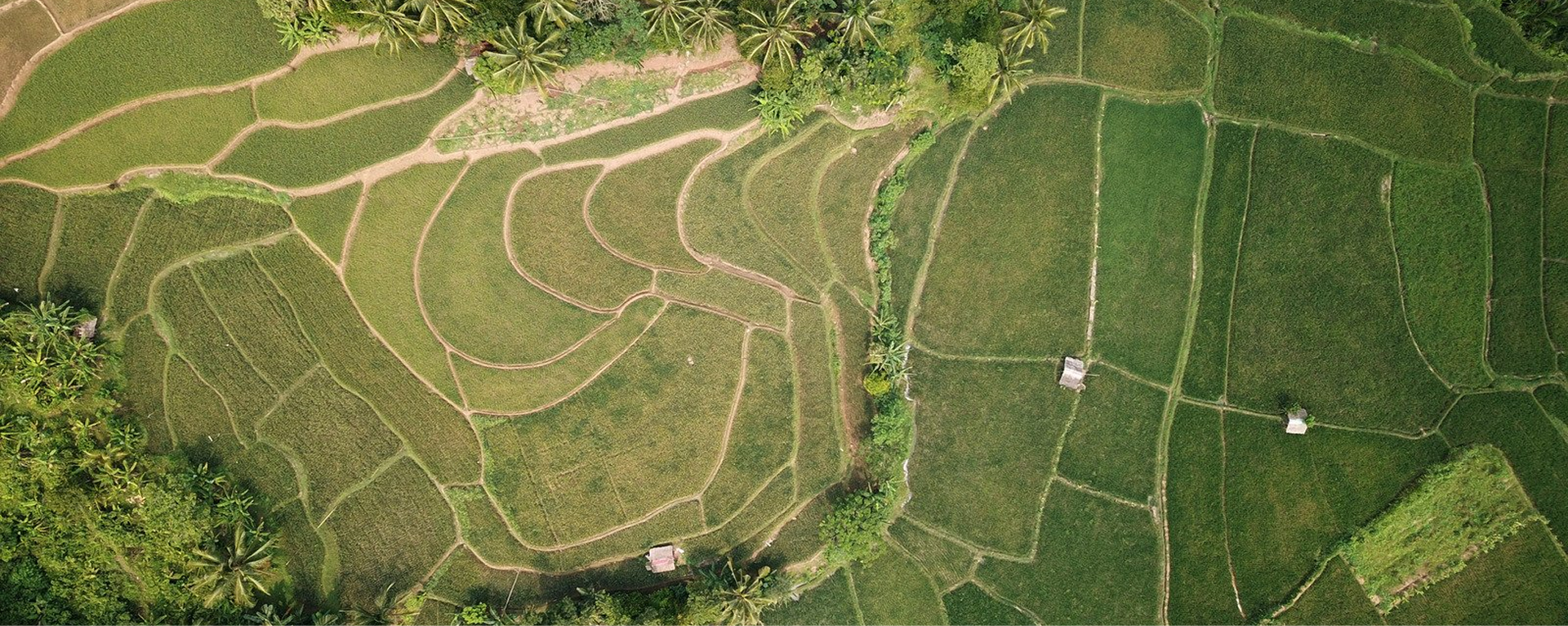 Commonlands aerial background
